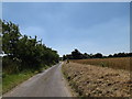 TM0581 : Brick Kiln Lane, South Lopham by Geographer