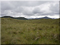 V6593 : Sand dunes, Rossbeigh by Rossographer