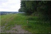 SO5473 : Rampart, Caynham Camp by Richard Webb