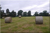 SO5473 : Round bales, Caynham Camp by Richard Webb