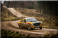 NY3933 : Greystoke Rally Stage by Brian Deegan