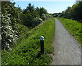 NS9876 : Towpath along the Union Canal near Linlithgow by Mat Fascione