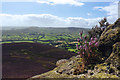 SK1287 : Rock and Heather by Andy Stephenson