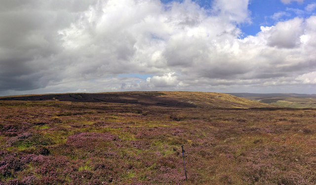 Kinder Scout - Edale Moor