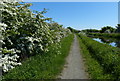 NT0476 : Towpath along the Union Canal by Mat Fascione