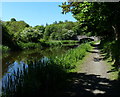 NT0676 : Union Canal towpath towards Bridge No 38 by Mat Fascione