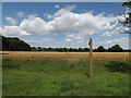 TM0674 : Footpath off Slough Road by Geographer