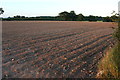 SY0192 : Tilled field by Marwood Lane by Derek Harper