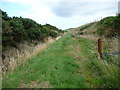 SC2887 : Field gate across the former Manx Northern Railway by Christine Johnstone