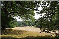 TL3306 : Hay Meadow by Bencroft Wood by Glyn Baker