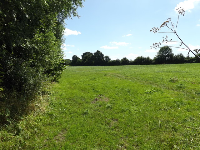 Footpath to The Causeway