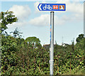 J5973 : National Cycle Network (route 99) sign, Drumfad, Millisle/Carrowdore (August 2016) by Albert Bridge