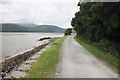 SH6415 : The Mawddach Trail north of Arthog by Jeff Buck