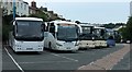 SX9164 : Coaches, Torquay coach station by Derek Harper