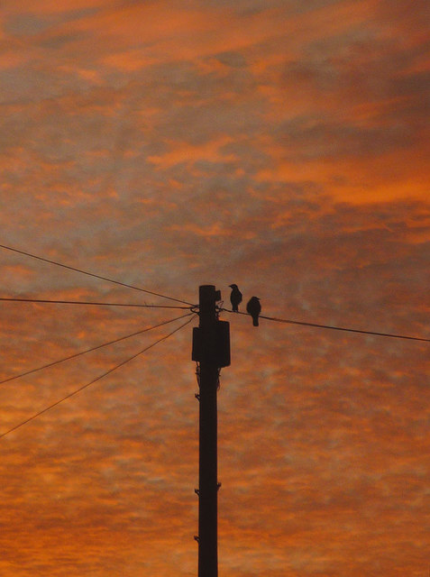 Dawn over Warton