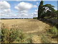 TM0470 : Farmland off Finningham Road by Geographer