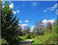 SJ9571 : Geese heading off? by Andy Stephenson