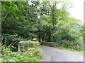 ST0621 : The bridge over River Tone at Tracebridge by David Smith