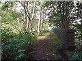 SE0725 : Path on an old viaduct, Halifax by Malc McDonald