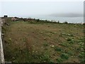 SX6444 : Rough Ground on Burgh Island by don cload