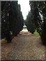 TL9176 : St.Peter's Church Path by Geographer