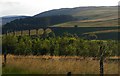 NT5206 : Langside Burn valley and Shankend Viaduct from the B6399 by Christopher Hilton