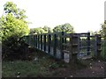 ST3505 : Bridge over the River Axe, Forde Abbey by Becky Williamson