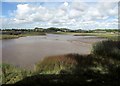 SX9787 : Mud flats, Goosemoor Nature Reserve by Derek Harper