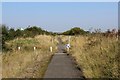 SE4051 : Following Cycle/Pedestrian Path beside the A168 by Chris Heaton