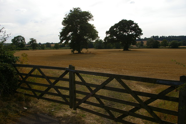 Fields on the edge of Derby