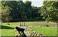 NX9666 : New Abbey Mill Pond by Mary and Angus Hogg