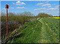 SK8064 : Navigation marker next to the River Trent by Mat Fascione