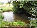 TL9369 : Millpond at Pakenham Water Mill by Geographer