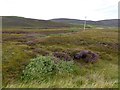 NC3662 : Moorland beside the A838 by Oliver Dixon