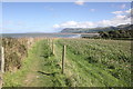 SH6272 : Path and Field of Clover at Pencoed by Jeff Buck