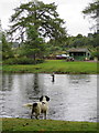 NJ2844 : Anglers by the Craigellachie fishing hut by Des Colhoun