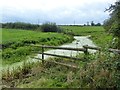 ST4286 : Reen, Magor Marsh by Robin Drayton