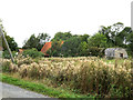 TM1387 : Farm Buildings at Grange Farm by Geographer