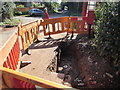 SO6026 : Fenced-off hole in Ross Road, Brampton Abbotts by Jaggery