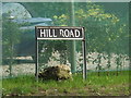 TM1389 : Hill Road sign by Geographer