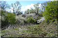 SP3677 : Blackthorn and hawthorn by the River Sowe south of the Alan Higgs Centre, Coventry by Robin Stott