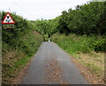 SS0998 : Warning sign - low bridge ahead northeast of Lydstep by Jaggery