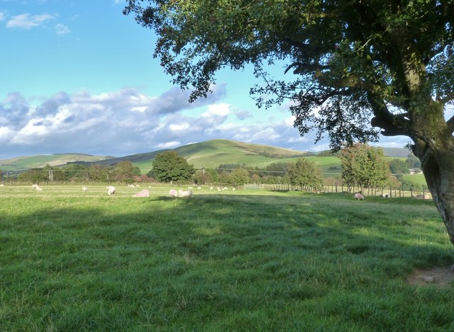 View East from Llidiart Carnau farmhouse, near Rhayader