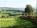 SN9770 : Long shadows at Llidiart Carnau  farmhouse, near Rhayader by Derek Voller