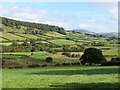 SN9770 : View North-east from the roadside near Tynshimley farm by Derek Voller