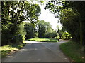 TM1591 : Low Common Road, Aslacton by Geographer