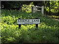 TM1591 : Steeple Lane sign by Geographer