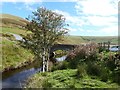 SN9071 : The old bridge over the River Elan at Pont Ar Elan by Derek Voller