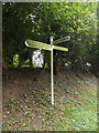 TM1591 : Signpost on The Street by Geographer