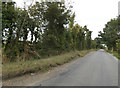 TM1588 : Plantation Road, Aslacton by Geographer